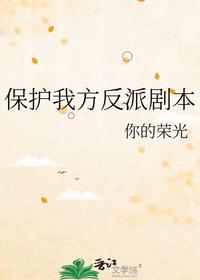 保护我方反派剧本